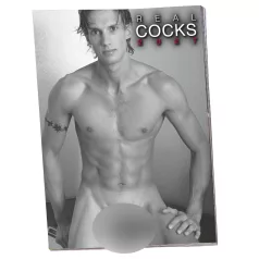Real Cocks 2027 - erotisk vægkalender (1 stk.)