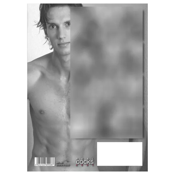 Real Cocks 2027 - erotisk vægkalender (1 stk.)