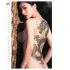 Tattoo Girls 2027 - erotisk vægkalender (1 stk)