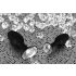 You2Toys - analplug med diamant - silikone - lille