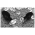 You2Toys - Diamond - silikone anal plug (lille)
