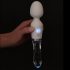 Liaison Wand - Silikone-glas LED vibrator (transparent)