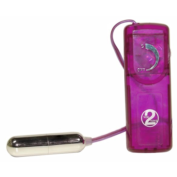 You2Toys - Erotisk overraskelse - vibratorsæt (12 dele)