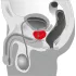 You2Toys - prostatamassager - roterende prostatavibrator - sort