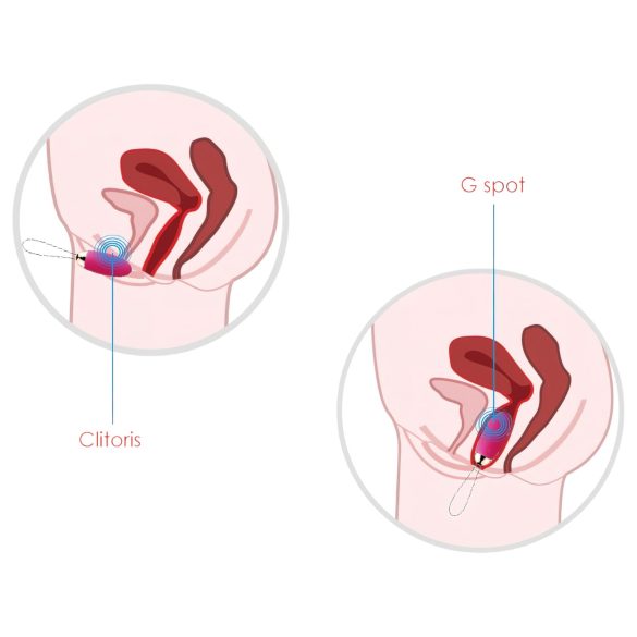 Svakom Elva - vibratoræg med fjernbetjening - genopladelig - rød