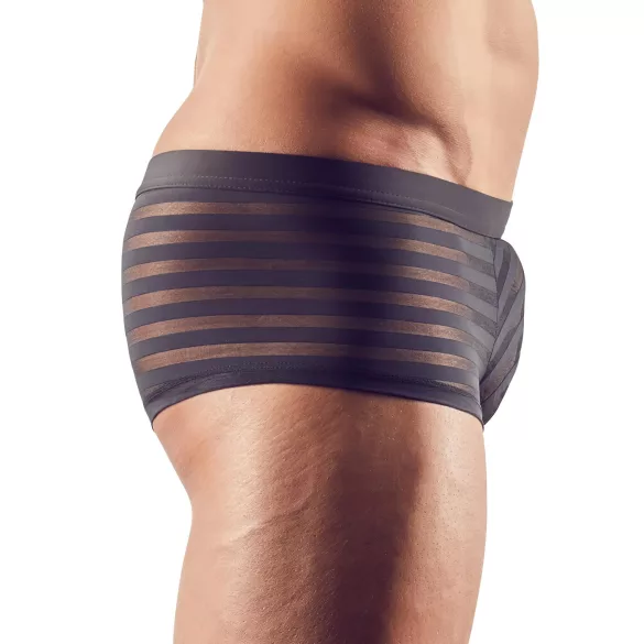 Svenjoyment - Gennemsigtige, stribede boksershorts (sort)