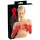LATEX - lange unisex handsker - rød - M