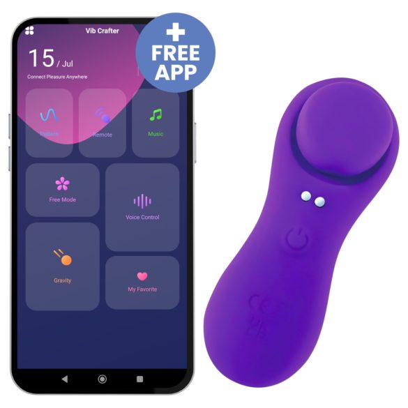 Desirel Confidential - trussevibrator med app - lilla