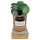 Coconutoil - bronzebliver olie - økologisk - 80ml