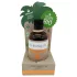 Coconutoil - bronzebliver olie - økologisk - 80ml