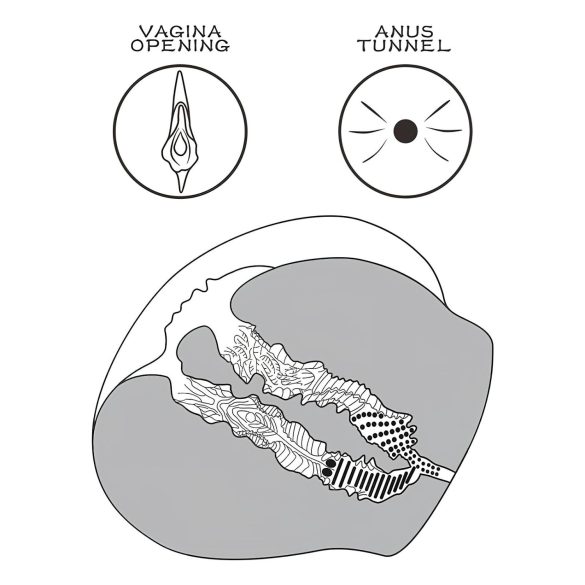 Lovetoy Streetgirl's 12 - kunstvaginatorso med trusse - mørk natur