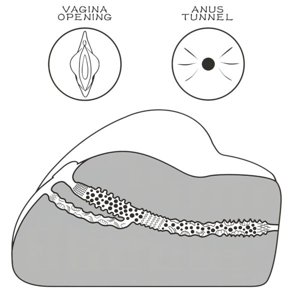 Lovetoy Streetgirl's - masturbator torso - vagina og anus - naturfarvet