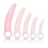 CalExotics Inspire - vaginal dilatorsæt - medicinsk silikone - pink