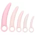 CalExotics Inspire - vaginal dilatorsæt - medicinsk silikone - pink