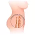 Intense Deep Touch Jesse - realistisk torso masturbator - natur