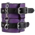 Secret Pleasure Chest - avanceret BDSM-sæt (14 dele)