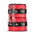 Secret Pleasure Chest - avanceret BDSM-sæt - 10 dele (rød)
