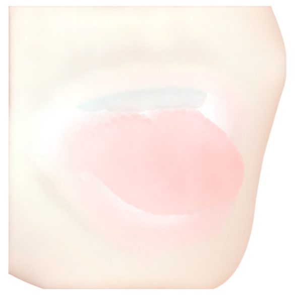 FWB - masturbator - 2i1 kunstmund og kunstvagina - natur