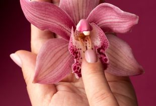 Vind Kvindedagen med den Perfekte Gave